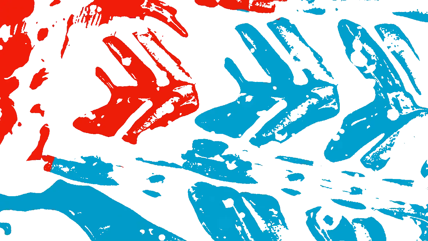 Houston marathon shoe small